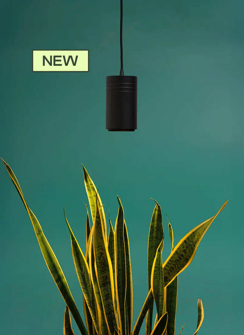 Aspect™ Grow Light, Black