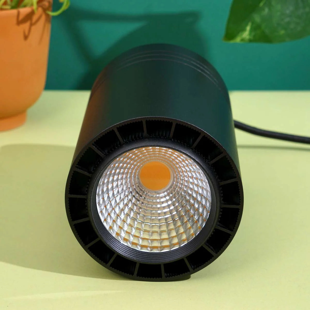 Aspect™ Grow Light, Black