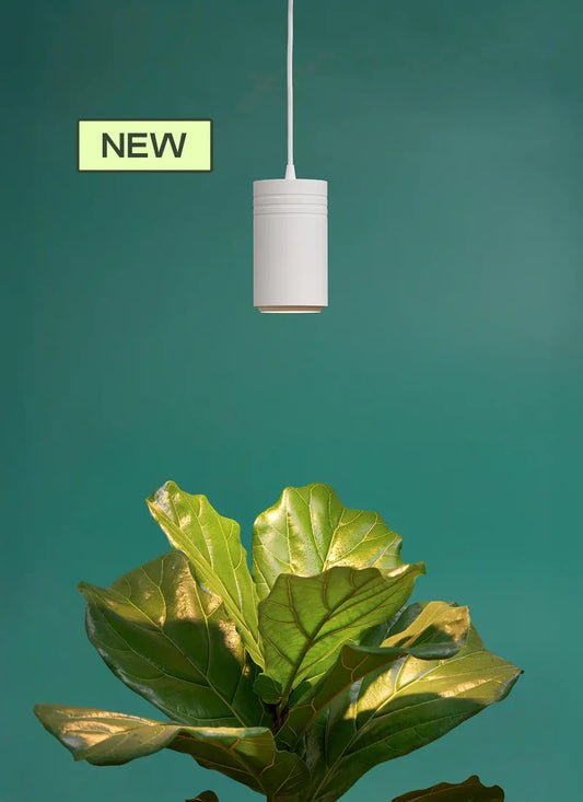 Aspect™ Grow Light, White